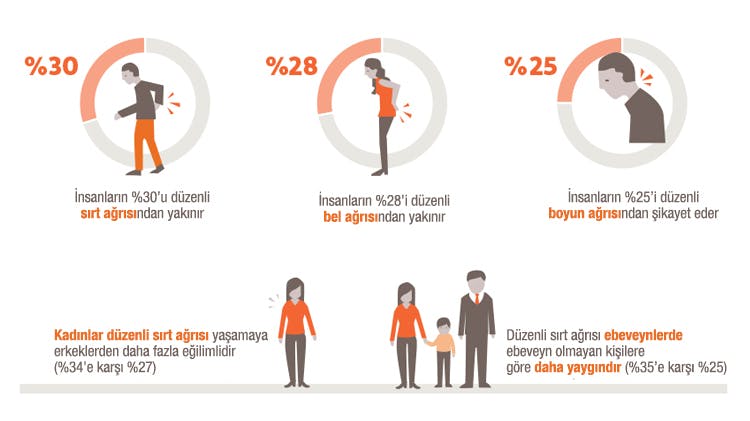 bel ağrısı hakkında info grafik